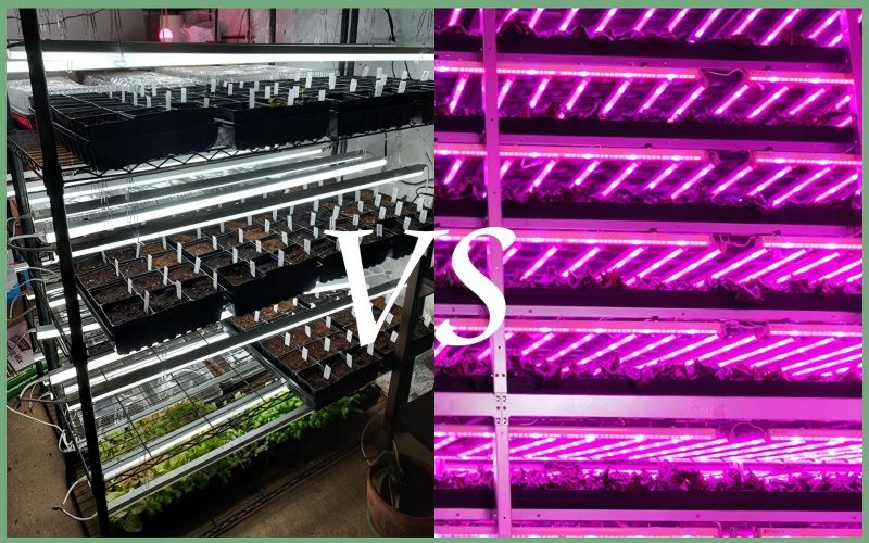 植物の成長ライトのためにフルスペクトルまたは赤と青のスペクトルを選択する方が良いでしょうか？