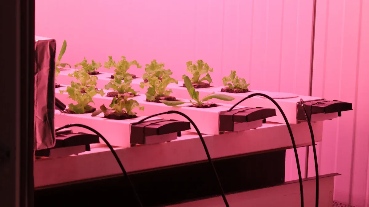 垂直栽培ライトは本当に植物の成長を助けることができますか?