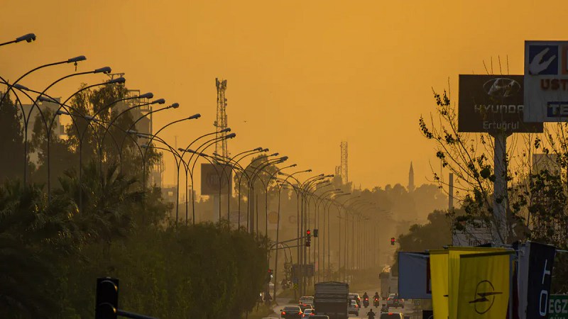 Praises and Complaints